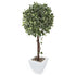 Artificial 3ft 5" Variegated Weeping Fig Tree