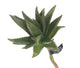 Artificial 25cm Single Stem Aloe Vera - Closer2Nature