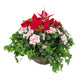 Closer2Nature Artificial Red Poinsettia & Pink Azalea in a 10'' Round Willow Hanging Basket - Closer2Nature
