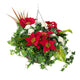 Closer2Nature Artificial Red Poinsettia & White Rose Display in 14'' Round Willow Christmas Hanging Basket - Closer2Nature