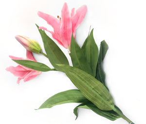 Artificial 87cm Single Stem Pink Oriental Lily - Closer2Nature