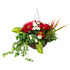 Closer2Nature Artificial Red Poinsettia & White Rose Display in 14'' Round Willow Christmas Hanging Basket