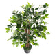 Artificial 3ft Weeping Fig Tree with Twisted Stem - Closer2Nature