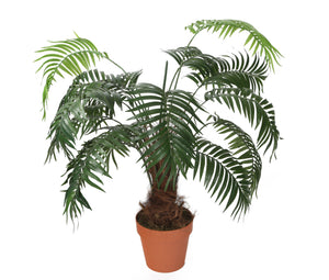 Artificial 3ft 6" Kentia Palm Tree - Closer2Nature