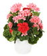 Artificial 43cm Pink and Red Geranium Display in an 18cm White Round Pot