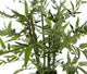 Artificial 2ft 3" Green Bisset's Bamboo Tree - Closer2Nature