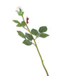 Artificial 60cm Single Stem Closed Bud Ivory Rose - Closer2Nature