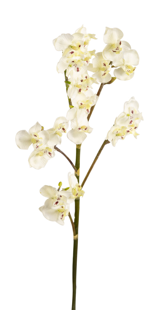 Artificial 69cm Single Stem White Miniature Phalaenopsis Orchid ...