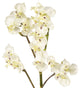 Artificial 69cm Single Stem White Miniature Phalaenopsis Orchid - Closer2Nature