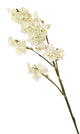 Artificial 69cm Single Stem White Miniature Phalaenopsis Orchid - Closer2Nature