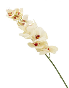 Artificial 109cm Single Stem Cream Phalaenopsis Orchid - Closer2Nature