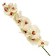 Artificial 109cm Single Stem Cream Phalaenopsis Orchid - Closer2Nature