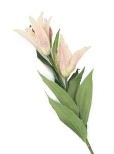Artificial 87cm Single Stem Cream and Pale Pink Oriental Lily - Closer2Nature