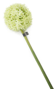 Artificial 89cm Single Stem Green Allium - Closer2Nature