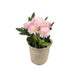 Artificial 18cm Pink Chrysanthemum Plant with Gift Box - Closer2Nature