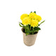 Artificial 18cm Yellow Chrysanthemum Plant with Gift Box - Closer2Nature