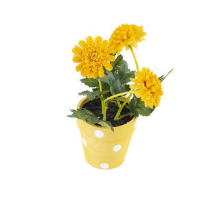 Artificial 19cm Golden Yellow Chrysanthemum Plant with Gift Box - Closer2Nature