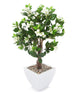 Artificial 3ft 2″ White Bougainvillea Tree - Closer2Nature
