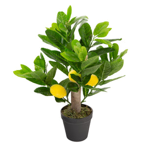 Artificial Mini Lemon Tree Closer2Nature