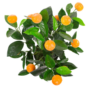 Artificial Mini Orange Tree Closer2Nature