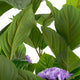 Artificial Purple Hydrangea Tree Closer2Nature