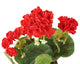 Artificial 24cm Red Zonal Geranium Plug Plant - Closer2Nature