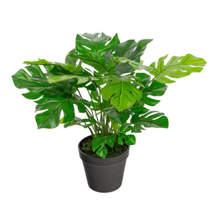 Artificial 1ft 5&quot; Swiss Cheese Plant Closer2Nature
