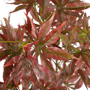 Artificial 3ft Chestnut Brown Japanese Maple Tree Closer2Nature