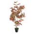 Artificial 3ft Chestnut Brown Japanese Maple Tree