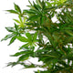 Artificial 4ft Green Japanese Maple Tree Closer2Nature