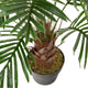 Artificial 3ft Mini Palm Tree Closer2Nature