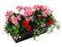 Artificial 35cm Red and Pink Geranium Display in a 50cm Basalt Black Trough Planter