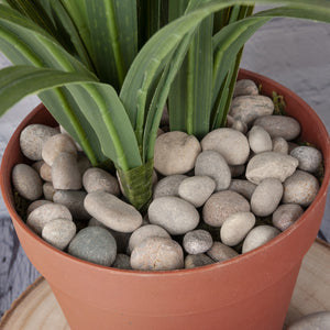Natural Indoor/Outdoor Decorative Smooth Scottish River Stones 1-4kg - Closer2Nature