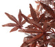 Artificial 5ft 6" Chestnut Brown Japanese Maple Tree - Closer2Nature