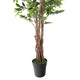 Artificial 6ft Weeping Fig Tree with Twisted Stem Closer2Nature