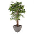 Artificial Weeping Fig Tree with Twisted Stem, 30cm Portofino Planter and Dark River Stones