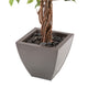 Artificial Weeping Fig Tree with Twisted Stem, 30cm Portofino Planter and Dark River Stones - Closer2Nature