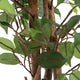 Artificial 4ft Weeping Fig Tree with Twisted Stem Closer2Nature