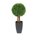 Artificial 2ft Boxwood Tree Ball Topiary - Closer2Nature