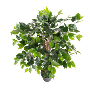 Artificial 3ft Weeping Fig Tree with Twisted Stem - Closer2Nature