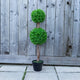 Artificial 3ft Double Boxwood Ball Tree - Closer2Nature