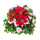 Closer2Nature Artificial Red Poinsettia & Pink Azalea in a 10'' Round Willow Hanging Basket - Closer2Nature