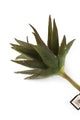 Artificial 25cm Single Stem Aloe Vera - Closer2Nature
