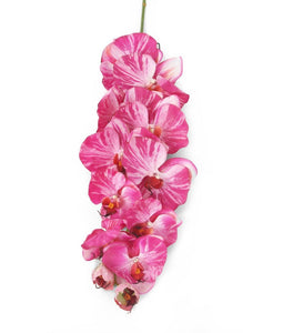 Artificial 109cm Single Stem Magenta Phalaenopsis Orchid - Closer2Nature