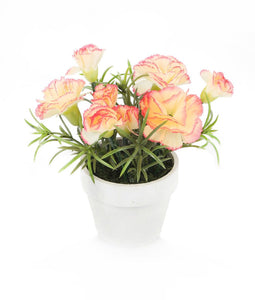 Artificial 15cm Mixed Carnation Plants with Gift Box Collection - Closer2Nature