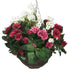 Artificial Pink Rose and White Daisy Display in a 10" Round Willow Hanging Basket