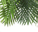 Artificial 2ft 6" Kentia Palm Tree - Closer2Nature