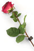 Artificial 72cm Single Stem Fully Open Magenta Rose