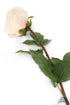 Artificial 72cm Single Stem Fully Open White Rose