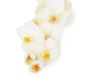 Artificial 109cm Single Stem White Phalaenopsis Orchid - Closer2Nature